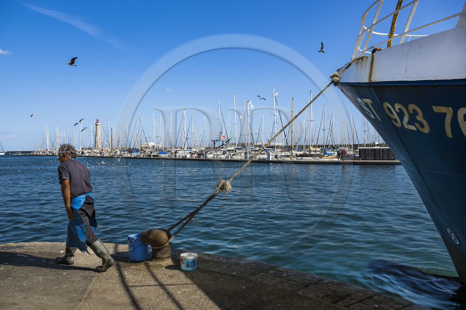 France, Hérault (34), Sète, Port de pêche et le phare du mole Saint-Louis en arrière-plan