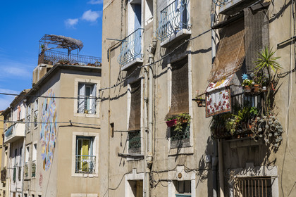 France, Herault, Sete,  Quartier Haut (the Upper Quarter), mural fresco which is part of the MACO (Musee à ciel ouvert) - Open-air museum, Evening light by the artist Goddog in rue Pascal