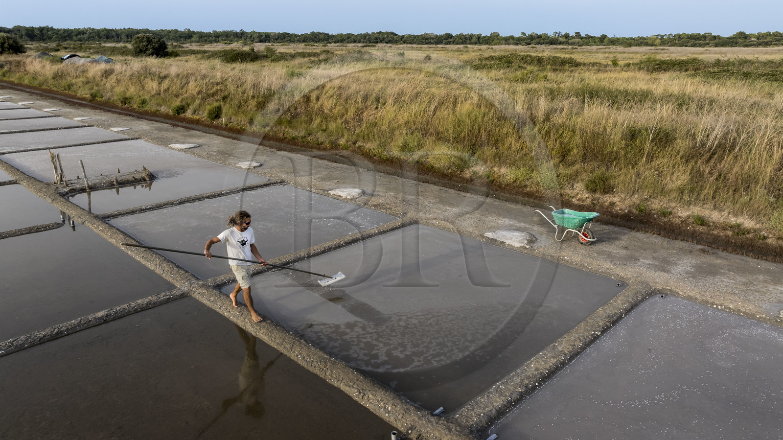 France, Charente-Maritime (17), Ile d'Oléron, Saint-Georges-d'Oléron, cueillette artisanale de la fleur de sel avec une lousse à fleur par le saunier Samuel Barbereau (vue aérienne)