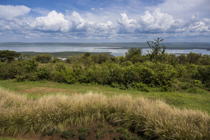 Rwanda, Parc national de l'Akagera, le lac Ihema