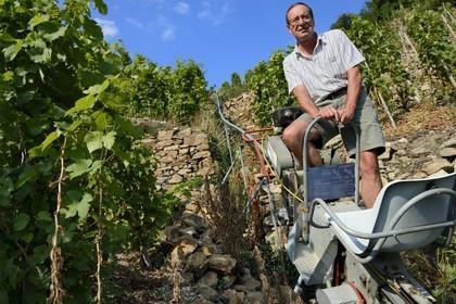 France, Rhone, Parc Naturel Regional du Pilat (Natural Regional Park of Pilat), Ampuis, Cote Rotie AOC vineyards from the Gilles Barge domain, rack and pinion monorail unique in France for the grape harvest on these extremely steep land