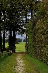 France, Seine-Maritime (76), Bretteville-du-Grand-Caux, clos-masure La Vitrine du Lin, grands arbres qui entourent la propriété