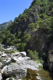 France, Alpes-Maritimes, Roya Valley, the gorges of Paganin between Saorge and Tende, the River Roya