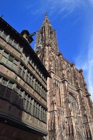France, Bas Rhin, Strasbourg, old town listed as World Heritage by UNESCO, the Maison Kammerzell and Notre Dame Cathedral