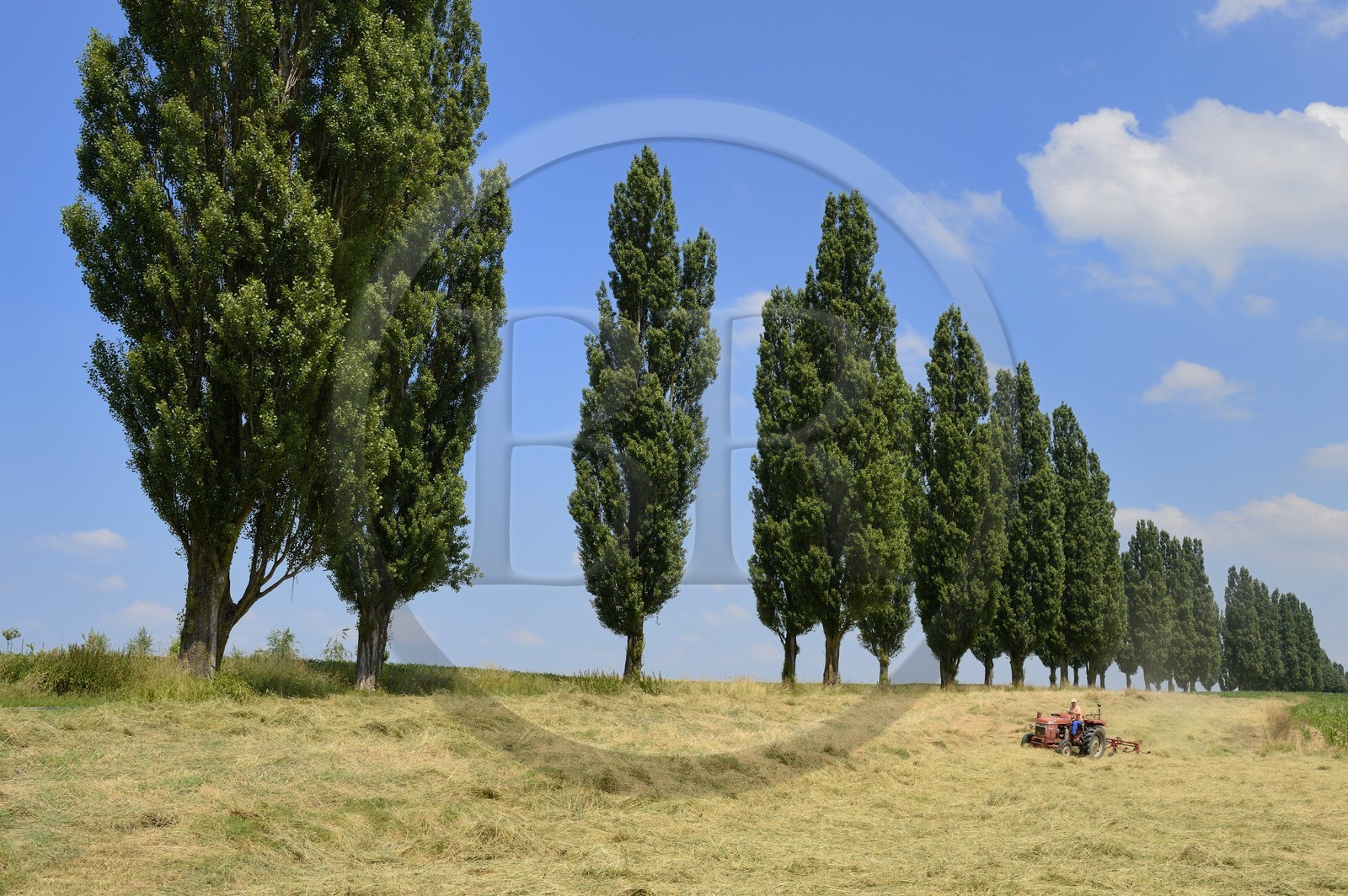 France, Haut Rhin, Sundgau, Feldbach, field work