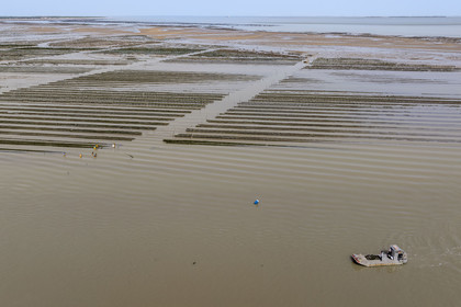 France, Charente-Maritime (17), Ile d'Oléron, Dolus-d’Oléron, entretien des parcs à huitres du bassin de Marennes-Oléron dans le Pertuis d'Antioche à marée basse (vue aérienne)