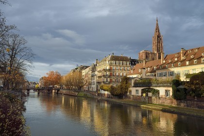 France, Bas-Rhin (67), Strasbourg, vieille ville classée au Patrimoine Mondial de l'UNESCO, les bords de la rivière l'Ill à l'automne et la cathédrale Notre-Dame
