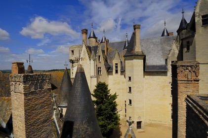 France, Maine et Loire (49), château de Montreuil-Bellay