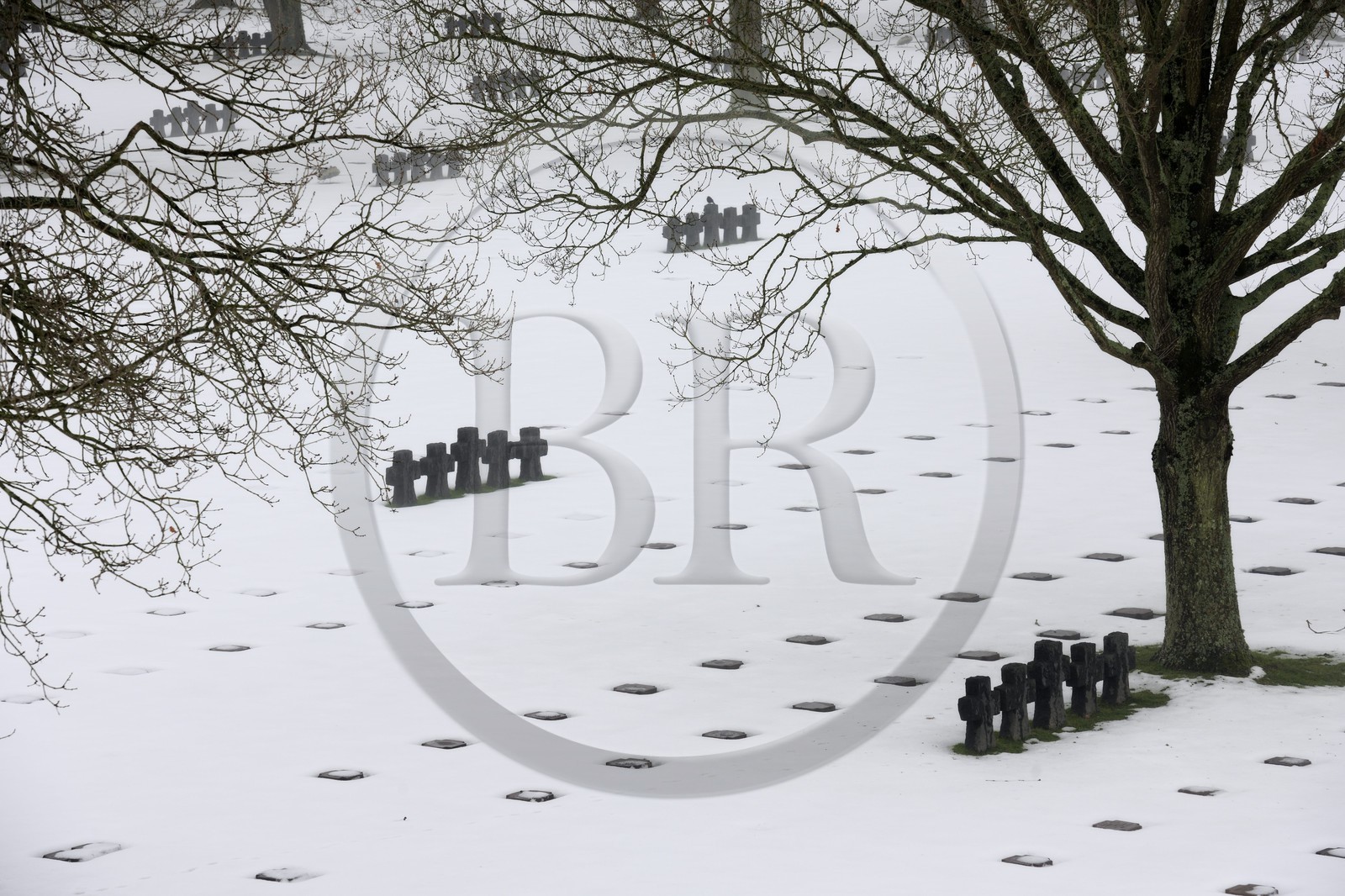 France, Calvados (14), La Cambe, Cimetière militaire allemand de la deuxième guerre mondiale