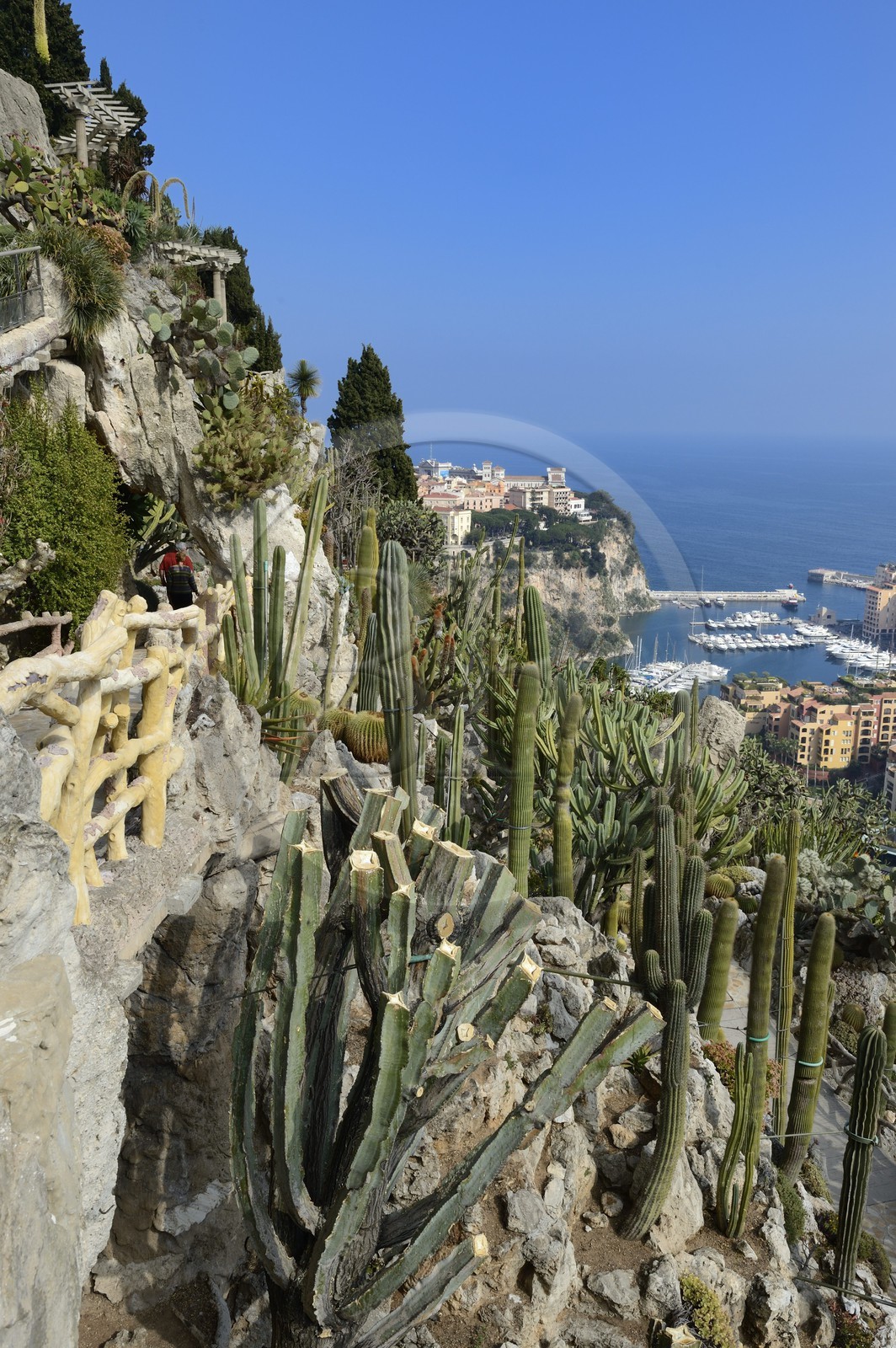 Principauté de Monaco, Monaco, le Jardin Exotique regroupant plusieurs milliers d'espèces de plantes succulentes, le Rocher et le port de Fontvieille en arrière plan Principauté de Monaco, Monaco, le Jardin Exotique regroupant plusieurs milliers d'espèces de plantes succulentes, le Rocher et le port de Fontvieille en arrière plan