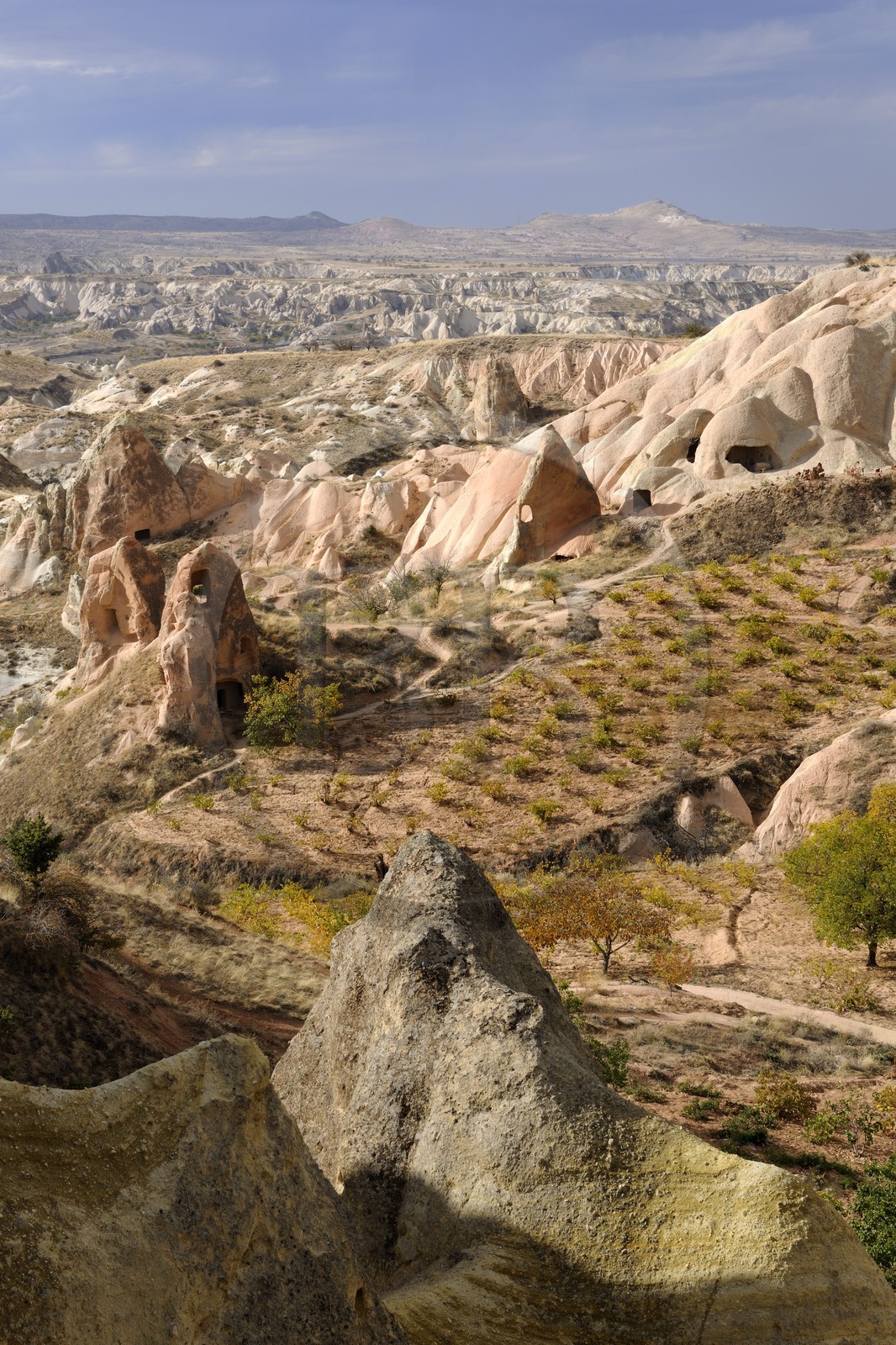 Turquie, Anatolie Centrale, province de Nevsehir, Cappadoce classée Patrimoine Mondial de l'UNESCO, vallon de Kizil Çukur (vallée Rouge) et vignes sur le versant occidental du massif de l'Ak Tepe vers Çavusin Turquie, Anatolie Centrale, province de Nevsehir, Cappadoce classée Patrimoine Mondial de l'UNESCO, vallon de Kizil Çukur (vallée Rouge) et vignes sur le versant occidental du massif de l'Ak Tepe vers Çavusin