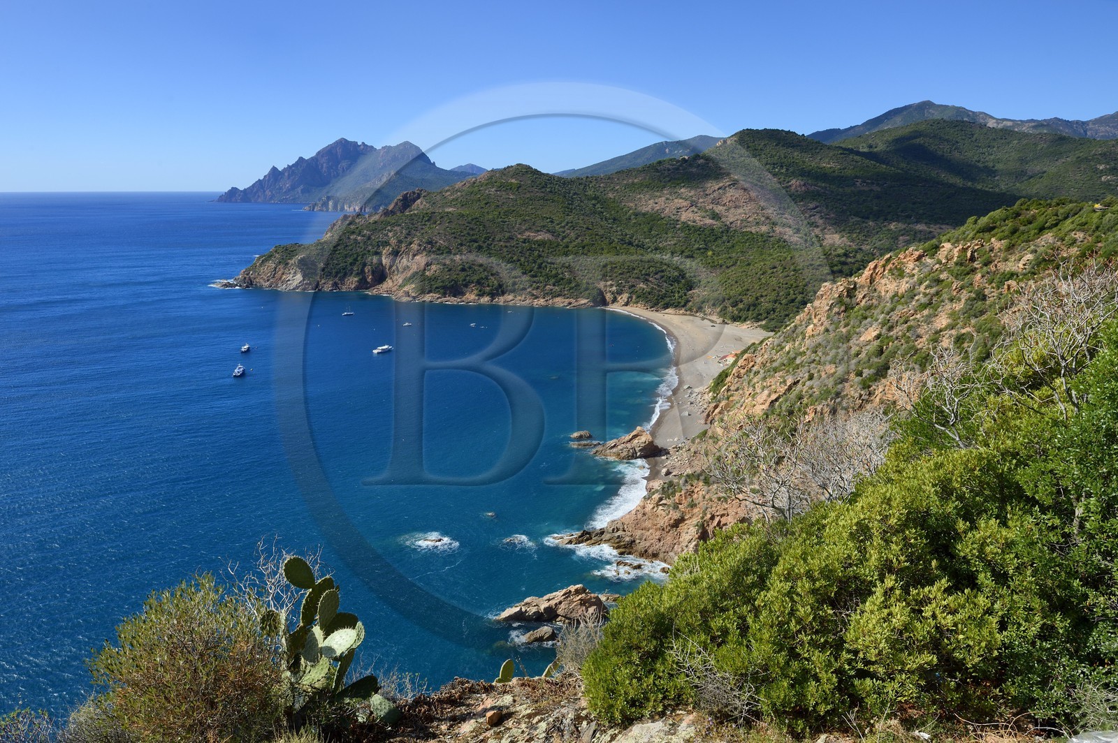 France, Corse-du-Sud (2A), Golfe de Porto, classé Patrimoine Mondial de l'UNESCO, plage de Bussaglia (Serriera)