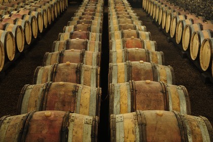 France, Côte d'Or (21), Gevrey-Chambertin, cave du domaine Drouhin-Laroze