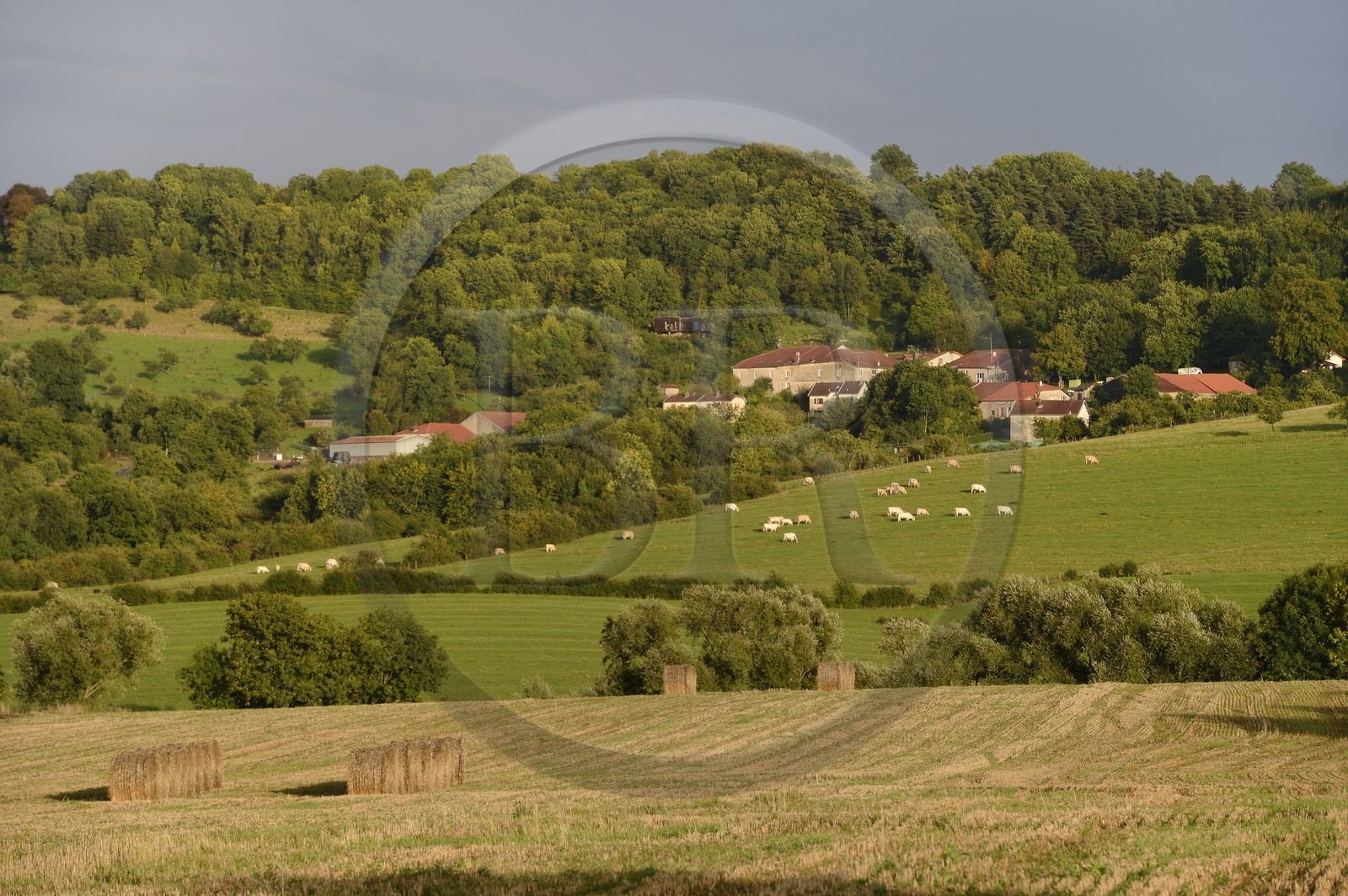 France, Meurthe-et-Moselle (54), pays du Saintois, colline de Sion-Vaudémont et le village de Saxon-Sion
