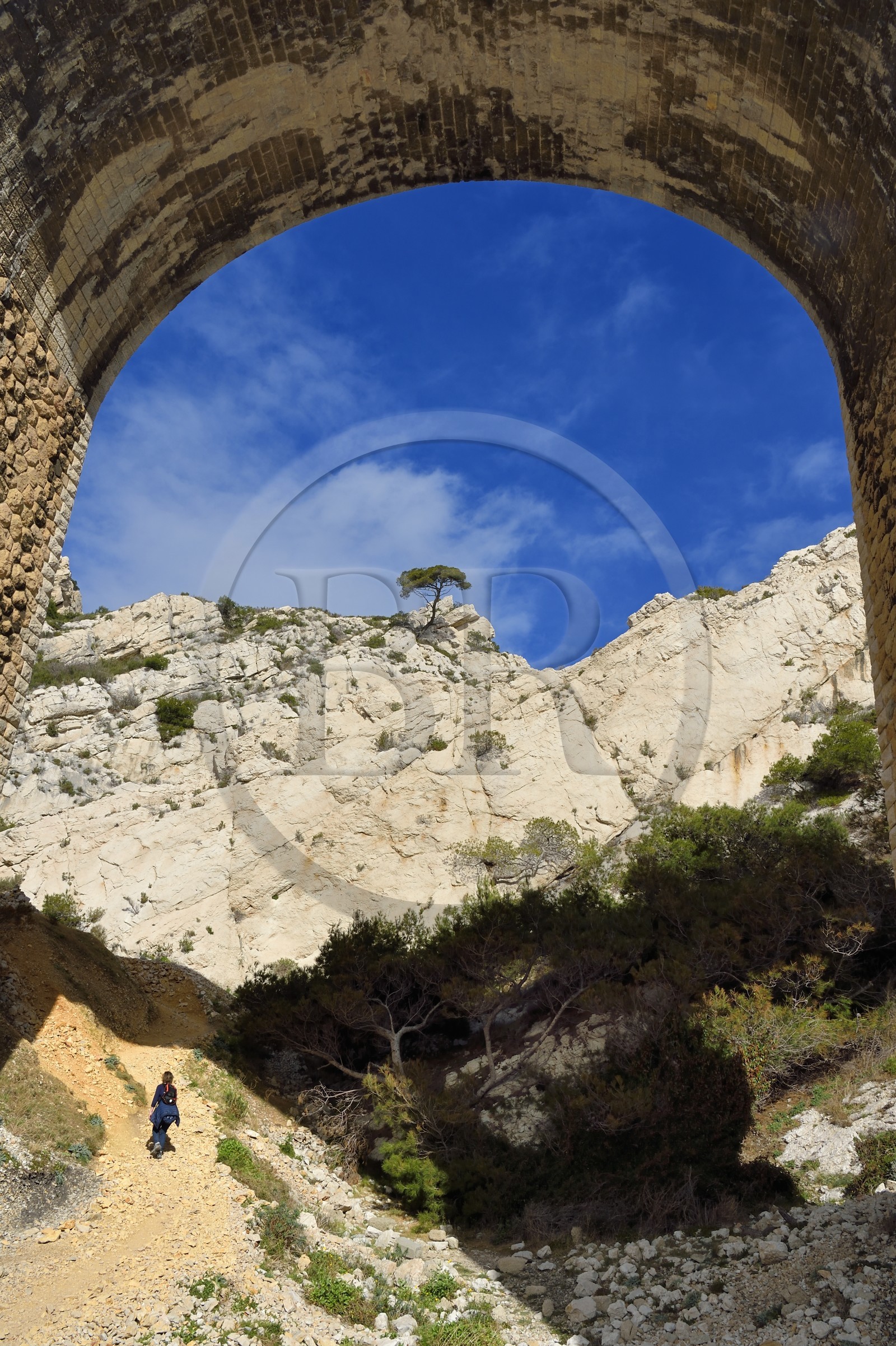 France, Bouches-du-Rhône (13), Ensuès-la-Redonne vers Marseille, la Cote Bleue, randonnée de Niolon au Cap Méjean le long du Sentier des Douaniers, le pont ferroviaire de la calanque de l'Erevine