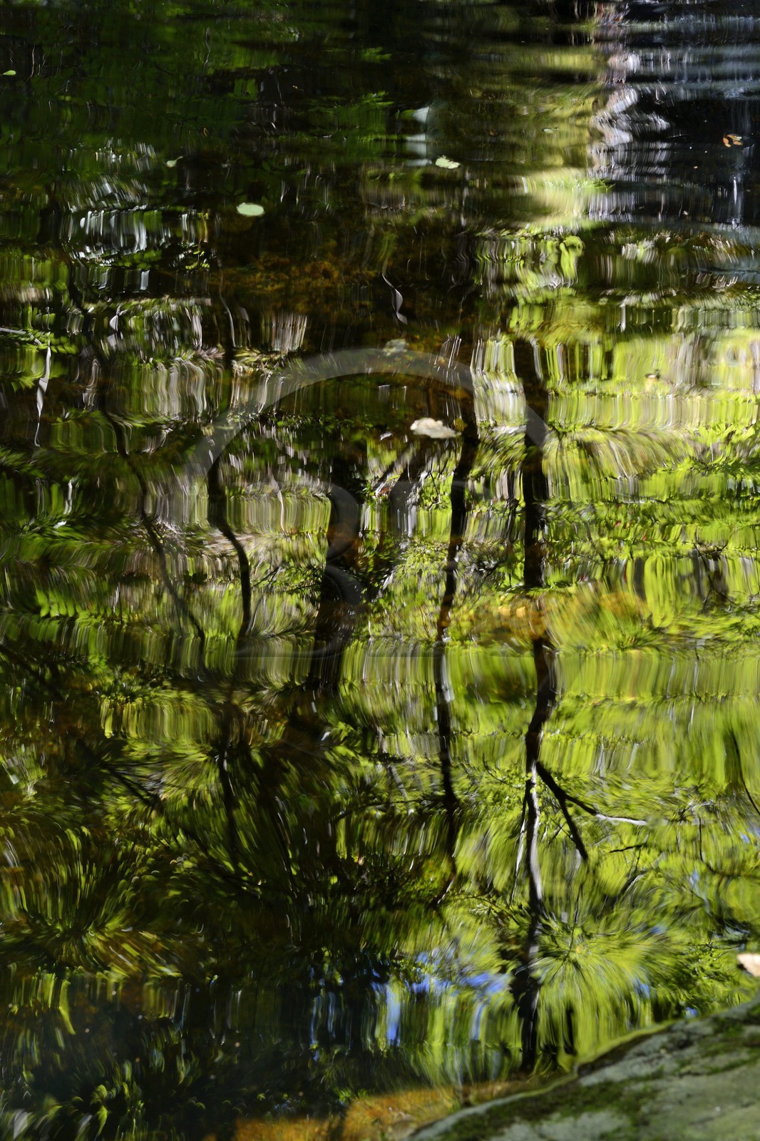 France, Ardèche (07), Parc Naturel Régional des Monts d'Ardèche, Thueyts, la haute-vallée de la rivière Ardèche