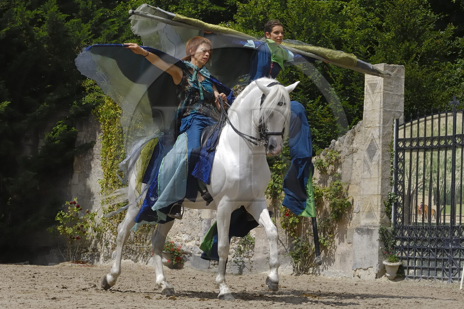 France, Loir et Cher (41), château de Chambord, spectacle d' Art équestre