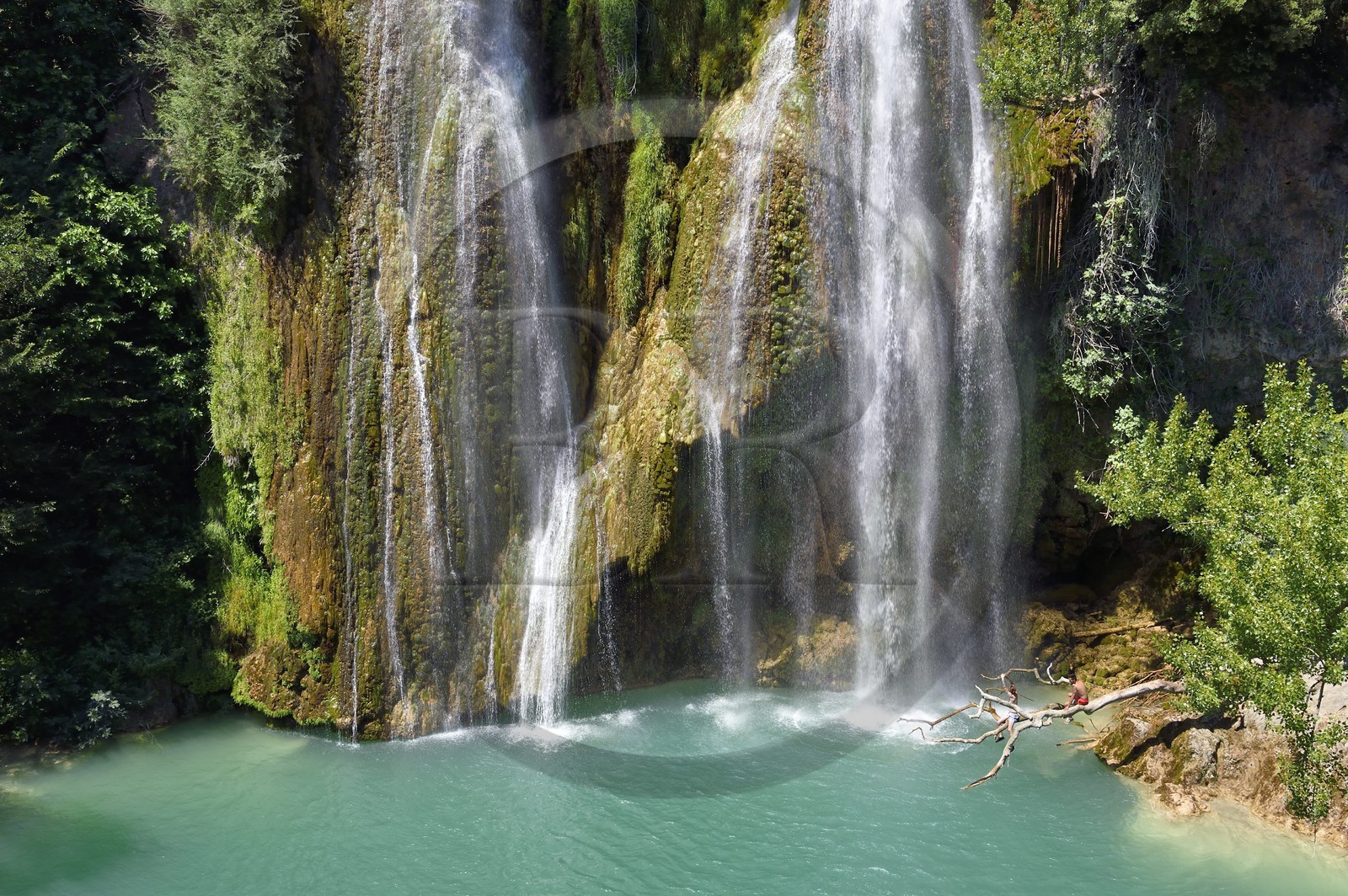 France, Var, Provence Verte, parc naturel regional du Verdon, Sillans waterfall, Bresque river