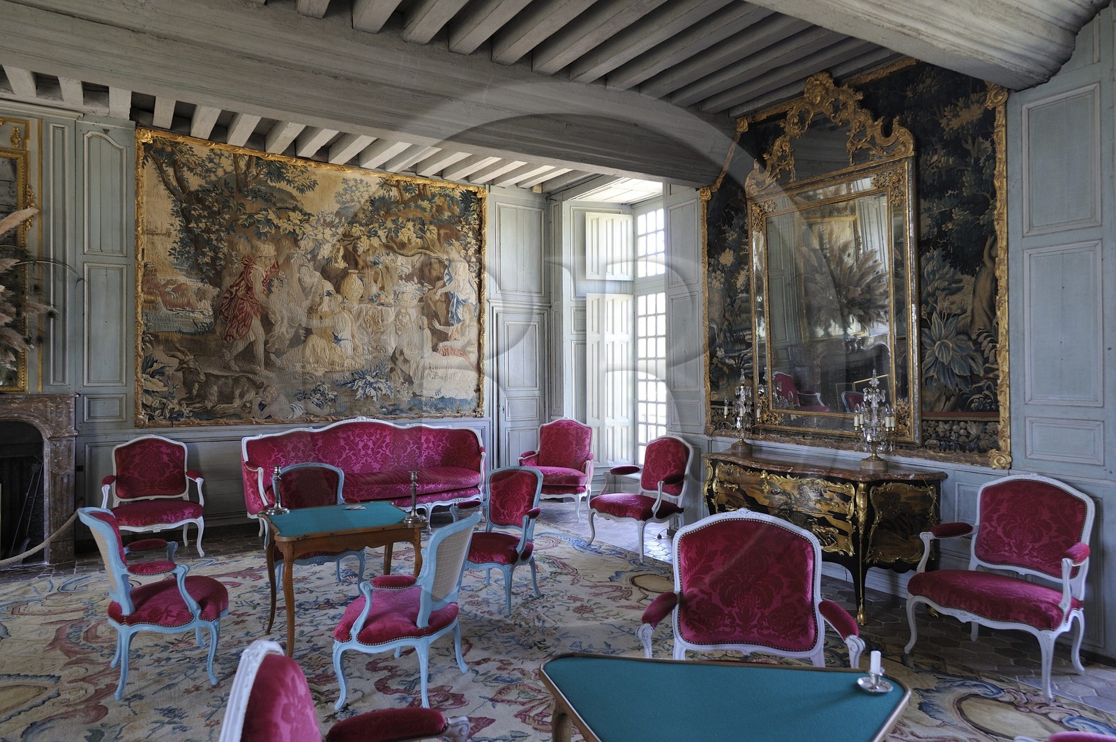 France, Loir-et-Cher (41), château de Talcy, le grand salon