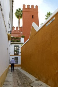 Espagne, Andalousie, Séville, quartier de Santa Cruz, la Juderia en bordure de l'Alcazar