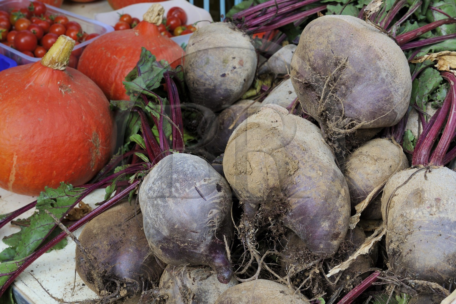 France, Var (83), Provence Verte, Saint-Maximin-la-Sainte-Baume, le marché