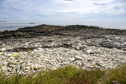 France, Finistère (29), Mer d'Iroise, Ile de Molène, site archéologique de Beg ar Loued abritant les vestiges d'une maison construite 2000 an avant notre ère