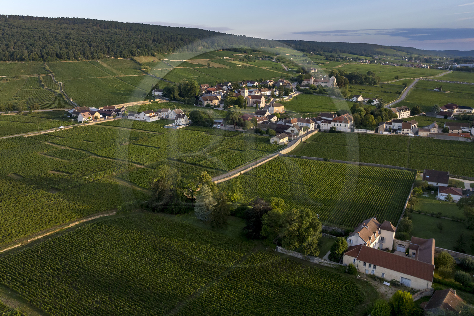 France, Cote d'Or, cultural Landscape of the climates of Burgundy listed as World Heritage by UNESCO, Route des Grands Crus (road of Vintage Wines), vineyard of the Côte de Nuits at Gevrey Chambertin (aerial view)