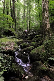 Germany, Black Forest, Schwarzwald, Baden-Württemberg, Sasbachwalden, succession of small waterfalls in the woods leading to Bischenberg summit