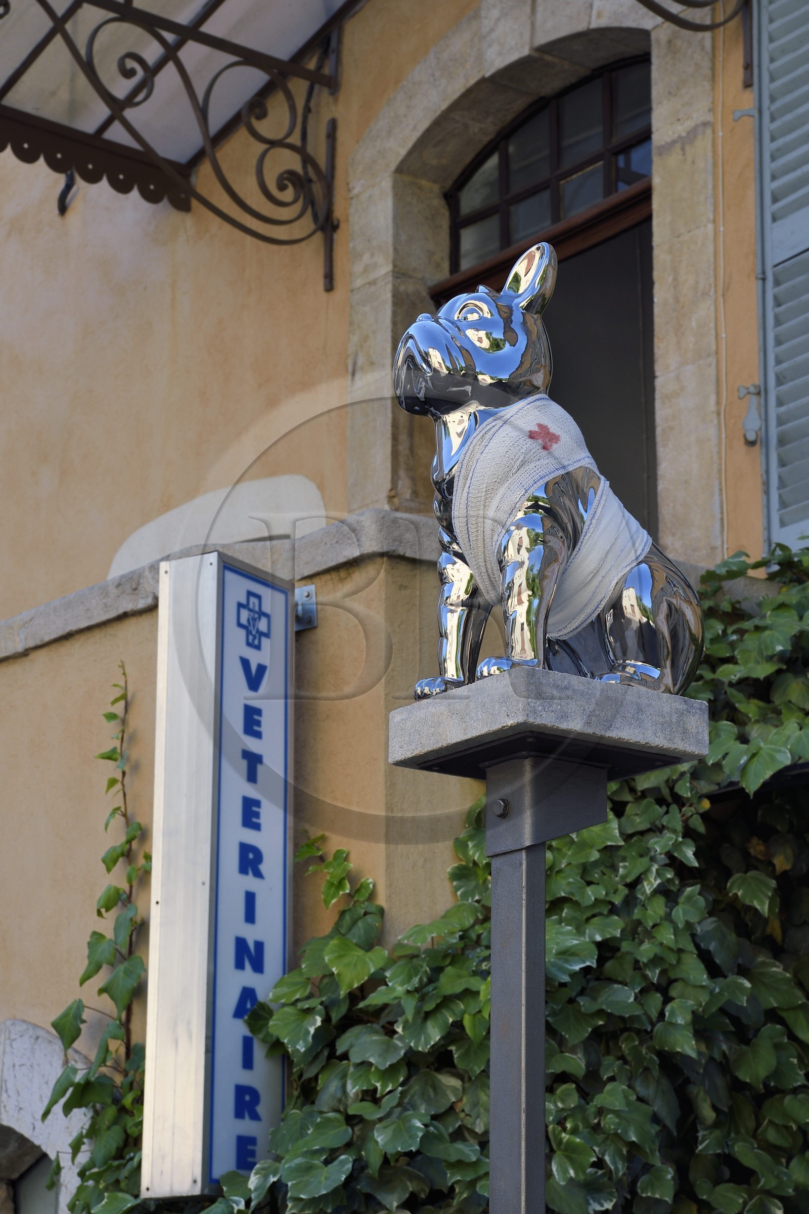 France, Var (83), Provence Verte, Cotignac, cours Gambetta, chien bandé comme enseigne d'une clinique vétérinaire France, Var (83), Provence Verte, Cotignac, cours Gambetta, chien bandé comme enseigne d'une clinique vétérinaire