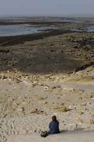 France, Charente-Maritime (17), Ile d'Aix, rade des Basques, pêche à pied à marée basse
