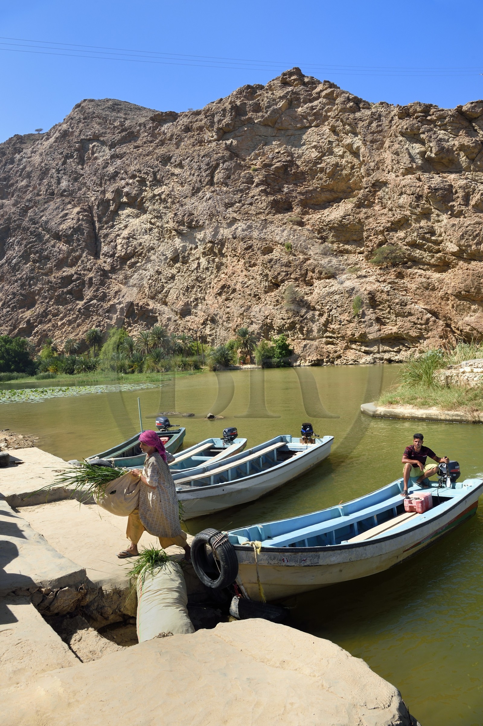 Sultanat d'Oman, région d'Ash Sharqiyah, Tiwi, un paysan traverse le Wadi ash Shab