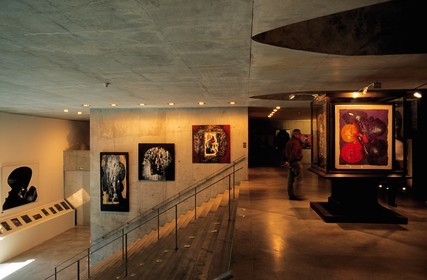 France, Nord (59), Lille, le musée des Beaux Arts