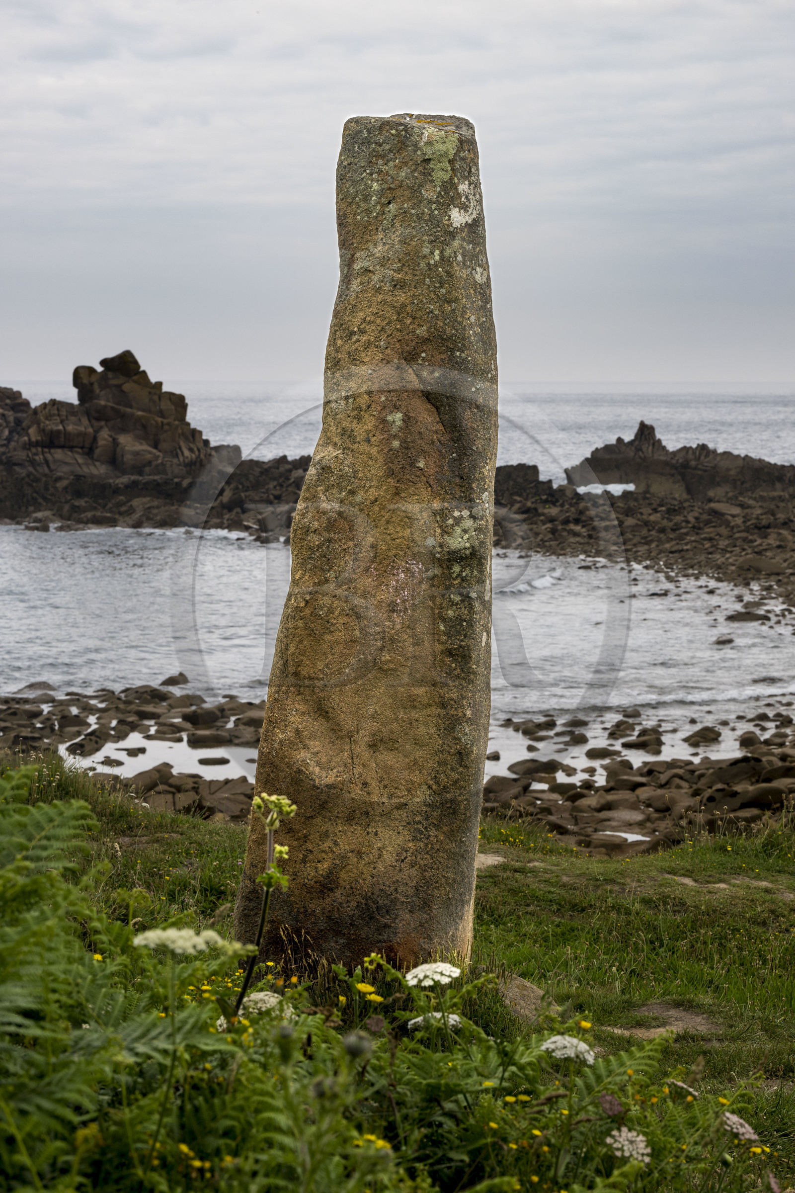 France, Finistère (29), Plougasnou, Primel-Trégastel, la Pointe de Primel à l'extrémité de la Baie de Morlaix, mégalithe appelé le menhir des marsouins sur le GR 34