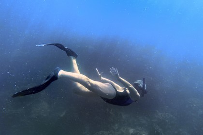 Sultanate of Oman, Governorate of Muscat, Nature Reserve of the Daymaniyat Islands, plongée en apnée