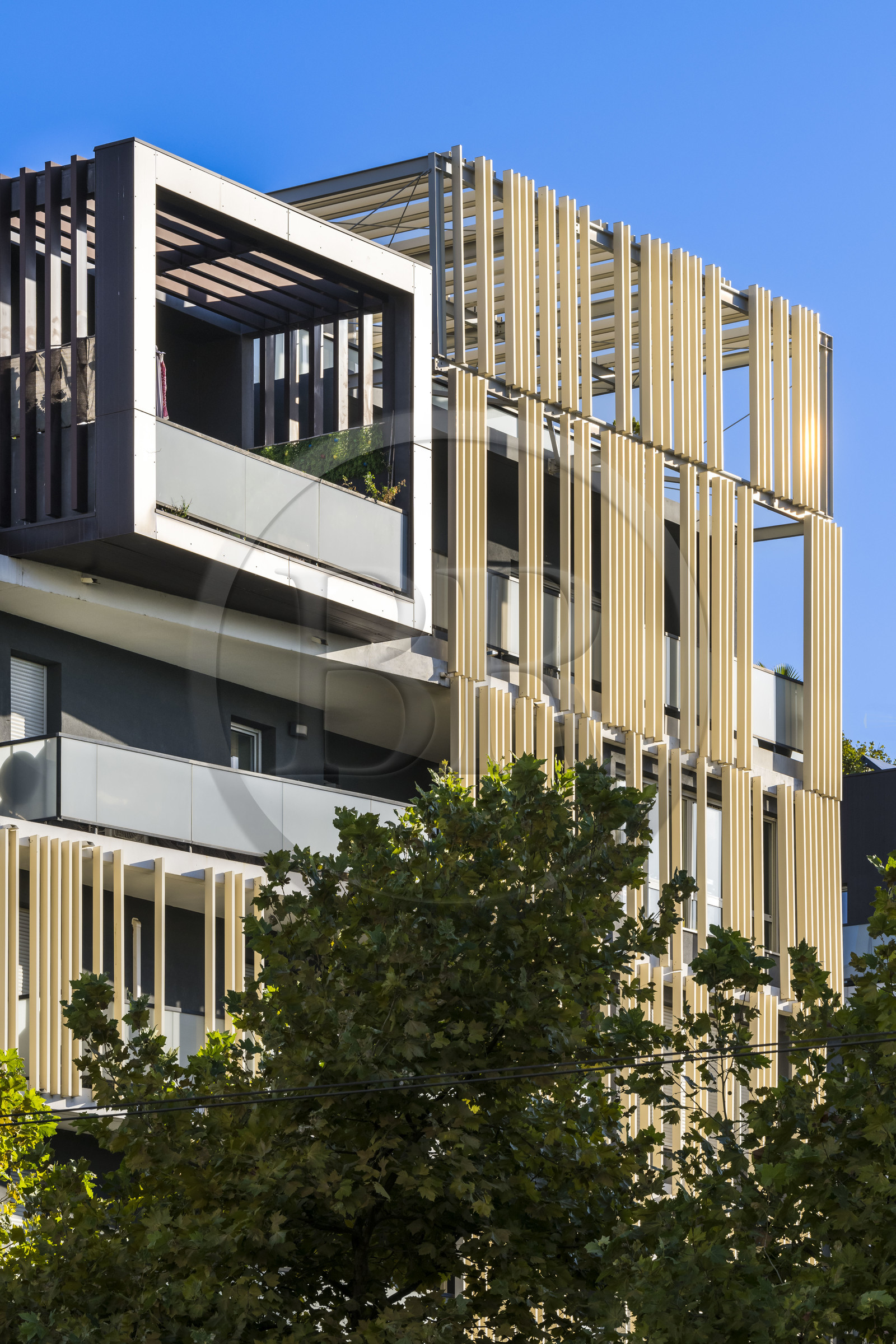 France, Hérault (34), Montpellier,  quartier de Port Marianne, immeuble sur l'avenue Raymond Dugrand