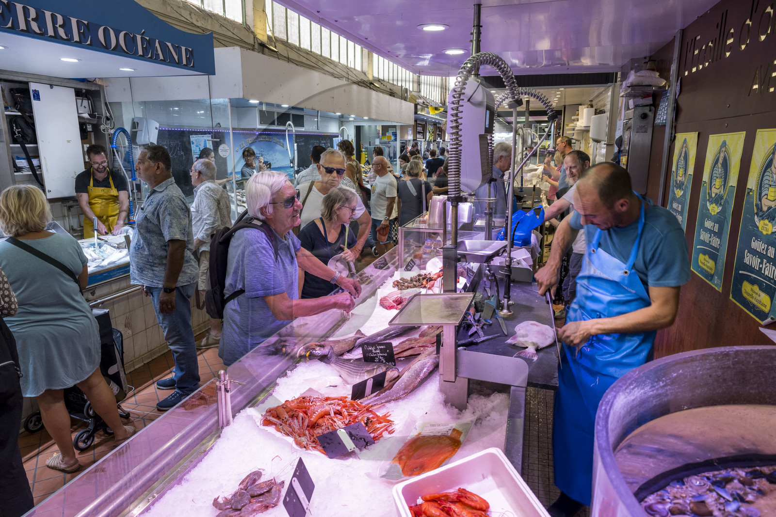 France, Charente-Maritime (17), La Rochelle, le vieux marché couvert du XIXème siècle, étal du poissonnier