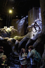 United Kingdom, Hertfordshire, Leavesden, Leavesden Film Studios, Harry Potter Studio Tour London, the scene of the eight Harry Potter movies' making of, the giant Aragog spiders in the mythical Forbidden Forest
