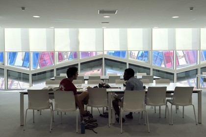 France, Meurthe et Moselle, Nancy, ARTEM university campus (Art, Technology, Management), the library