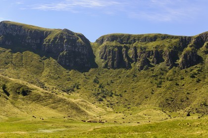France, Cantal, France, Cantal, monts du Cantal, Parc Naturel Régional des Volcans d'Auvergne (regional nature park of Auvergne volcanoes), Puy-Mary, Salers cow herd at the foot of the mountain of the Fours de Peyre Arse cut by the breach of Roland