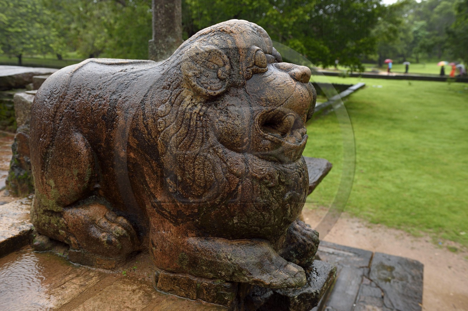 Sri Lanka, province du Centre-Nord, Polonnaruwa, l'ancienne capital du pays (XIe au XIIIe siècle) est classée au Patrimoine Mondial de l'UNESCO, Chambre du Conseil (Raja Sabahawa) datant du XIIe siècle, lion se dressant en haut des marches