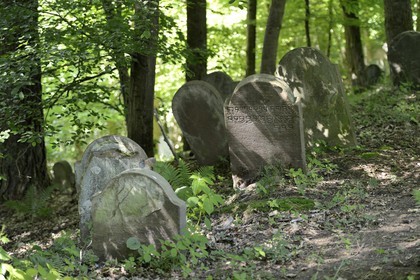France, Bas Rhin, Saverne, Old Jewish Cemetery