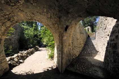 France, Hérault (34), Montpellier, le Jardin des Plantes