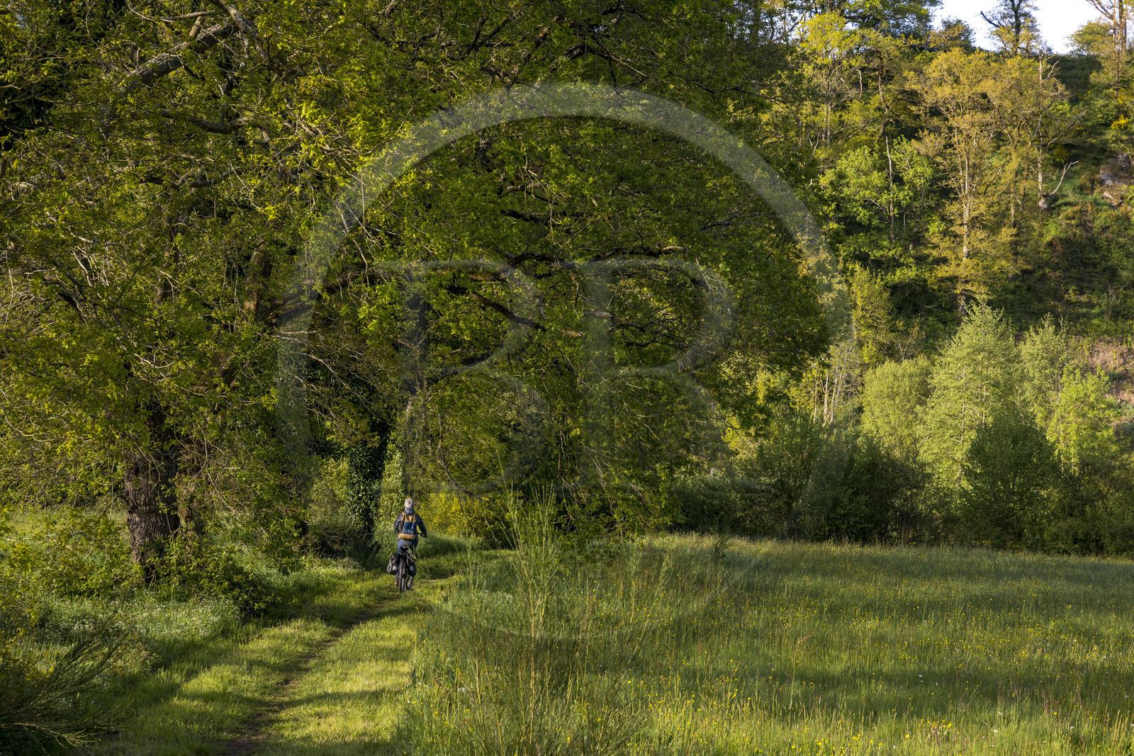 France, Vendée (85), Saint-Aubin-des-Ormeaux, randonnée cycliste dans la vallée de la Sèvre Nantaise
