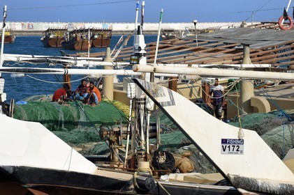Sultanat d'Oman, gouvernorat de Ash Sharqiyah, port moderne de Sour, pêcheurs sur un boutre