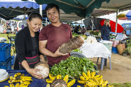 France, Guyane, Javouhey, marché du dimanche Hmong, réfugiés du Laos arrivés en 1978 qui se sont spécialisés dans la culture fruitière, Monica et son mari devant leur étal de racines de tarot, basilic thai et bananes