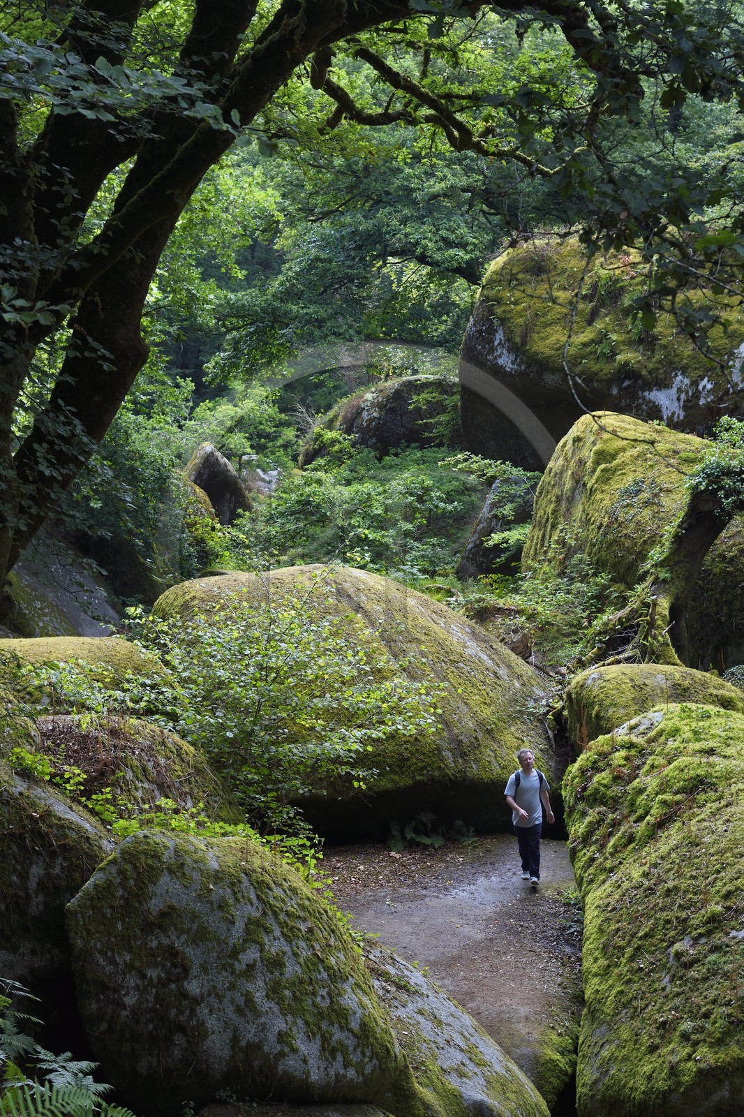 France, Finistère (29), parc naturel régional d'Armorique, Huelgoat, chaos granitique de la forêt du Huelgoat France, Finistère (29), parc naturel régional d'Armorique, Huelgoat, chaos granitique de la forêt du Huelgoat