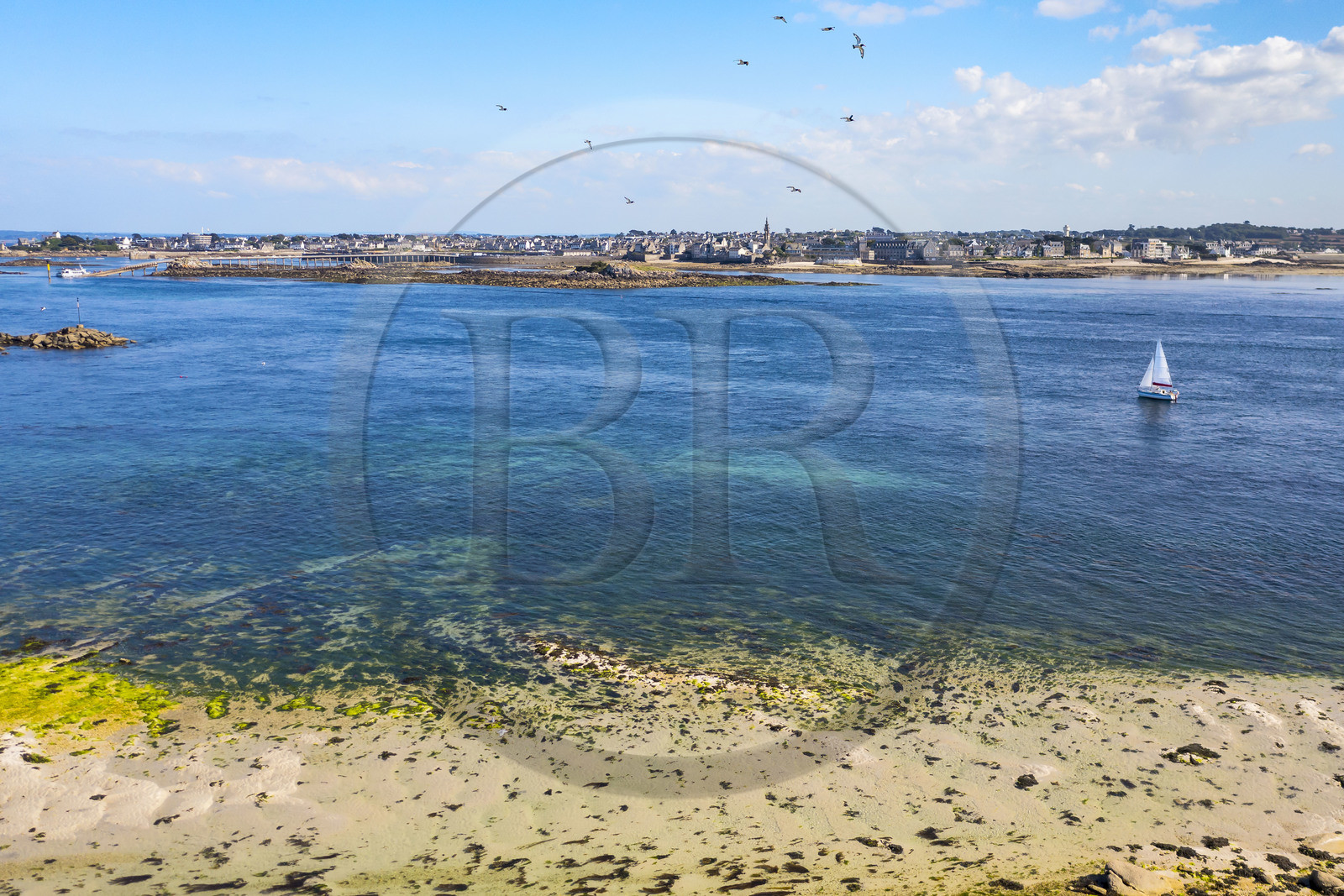 France, Finistère, Ponant Islands, Ile de Batz (Batz Island), the channel between Pointe de Penn-Batz and Roscoff in the background (aerial view)