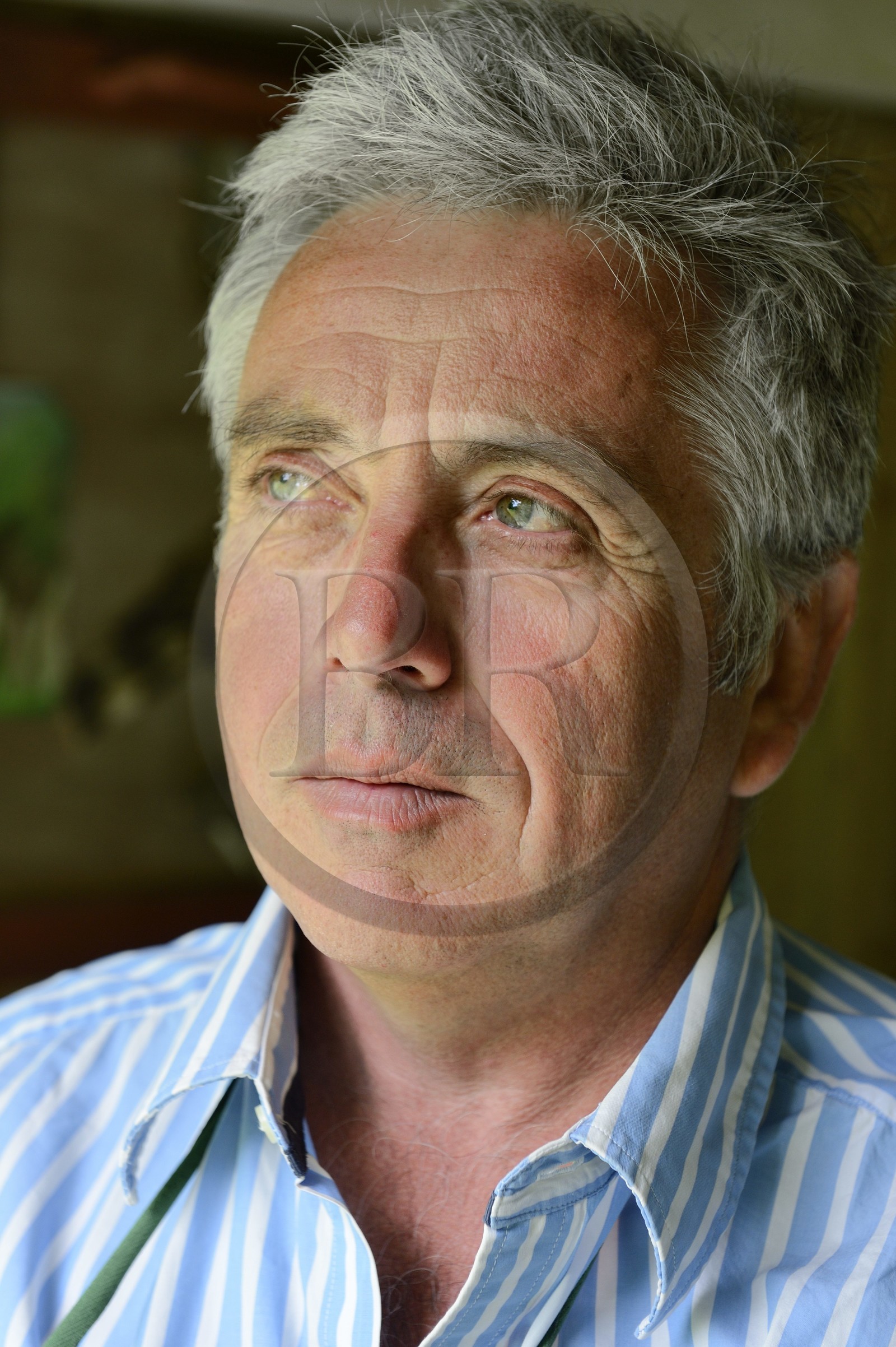 France, Finistère (29), Prat-Ar-Coum, atelier de l'artiste peintre Loic Madec