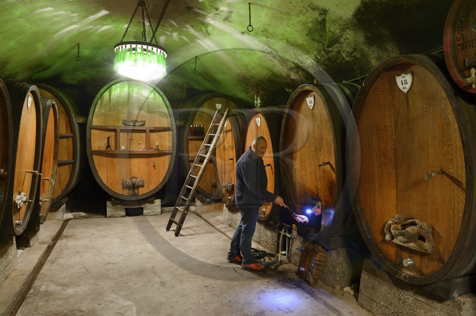 France, Bas Rhin, the Alsace Wine Route, Mittelbergheim, labelled Les Plus Beaux Villages de France (The Most Beautiful Villages of France), Domaine Wittmann wine cellar