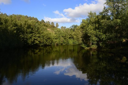 France, Morbihan (56), forêt de Brocéliande, Tréhorenteuc, la Mare aux Fées du Val sans Retour où selon la légende la Fée Morgane retenait ses amants infidèles